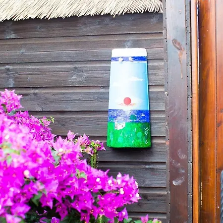 Willa Lemon Tree Paralimni